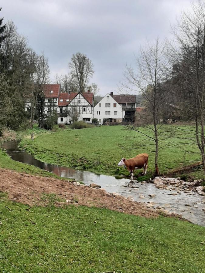 Appartement Haus An Der Werbe